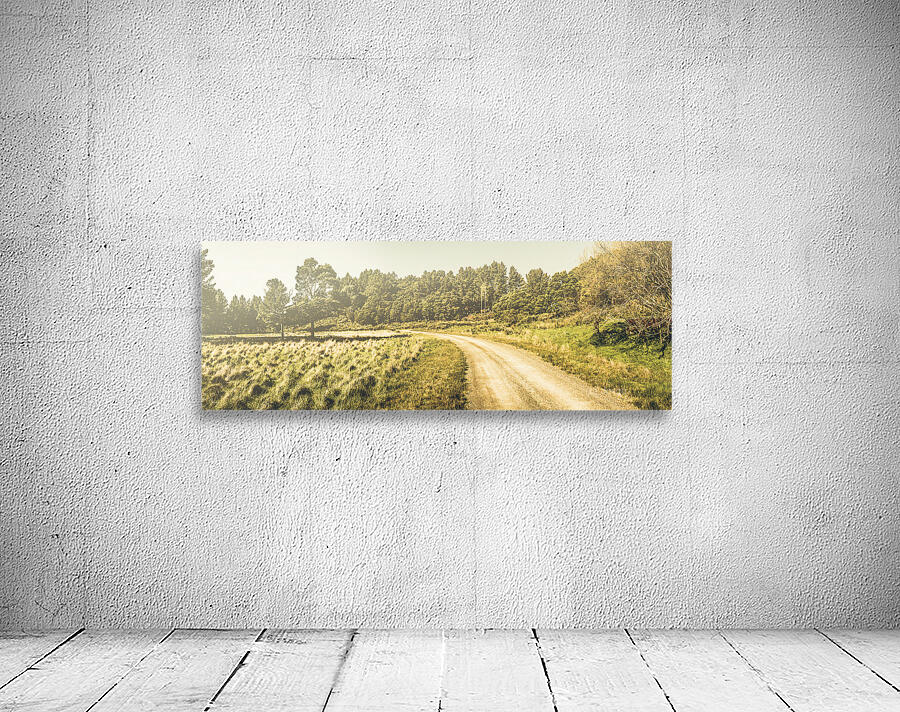 Old-fashioned country lane Wall Preview