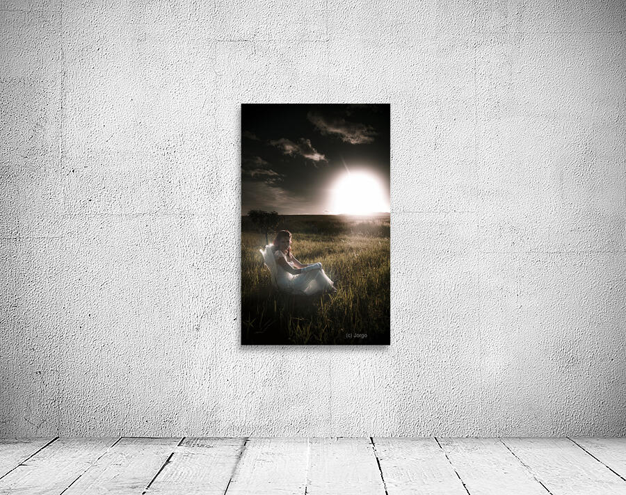 Field Of Dreams Wall Preview