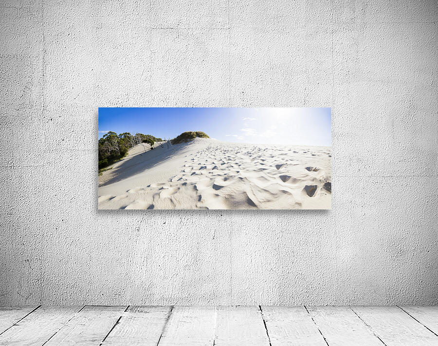 West Coast Tasmania desert panorama Wall Preview