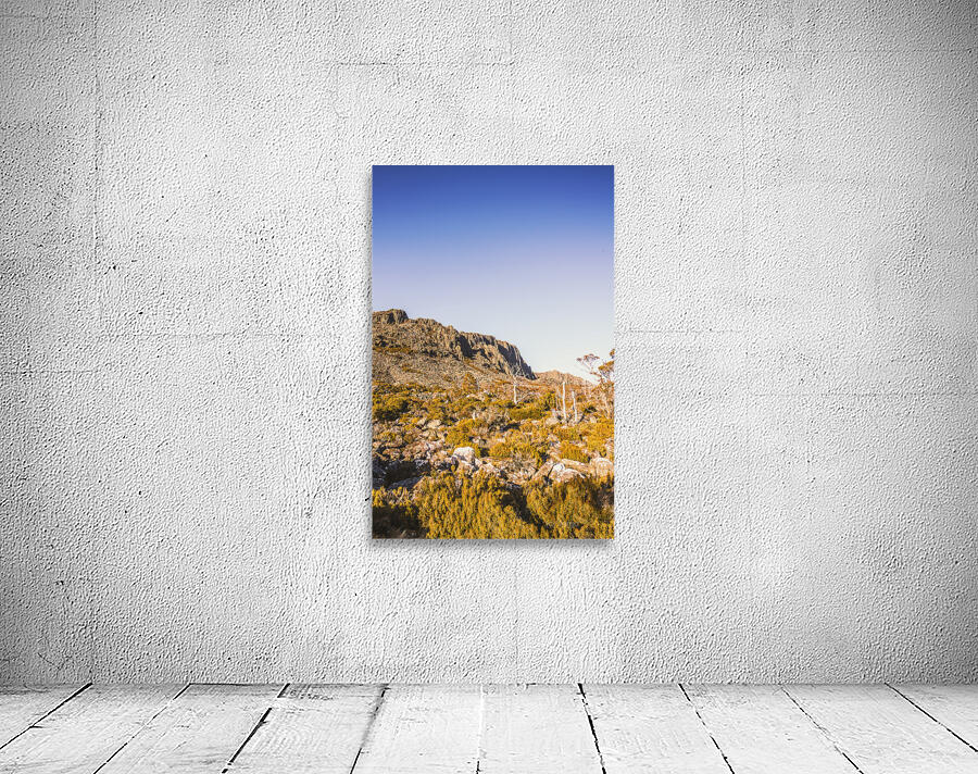 Scenic barren range Wall Preview