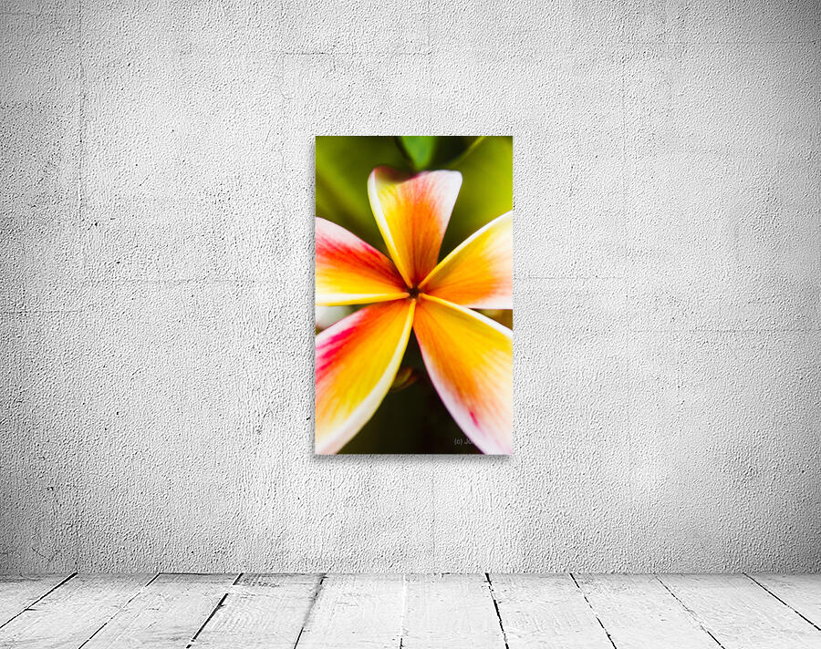 Centered  Wall Preview