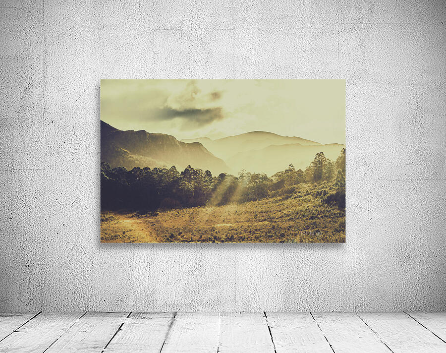 Rays of dusk Wall Preview