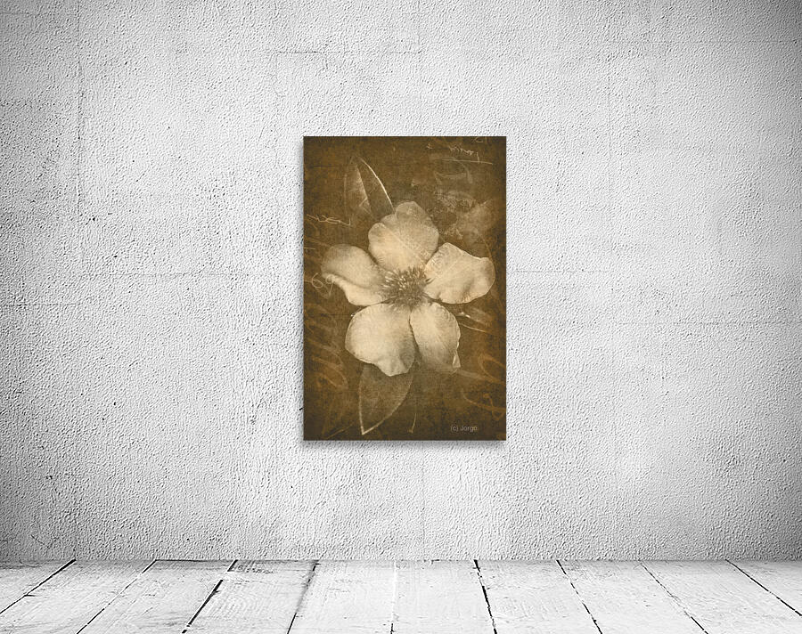 Vintage postcard flower Wall Preview