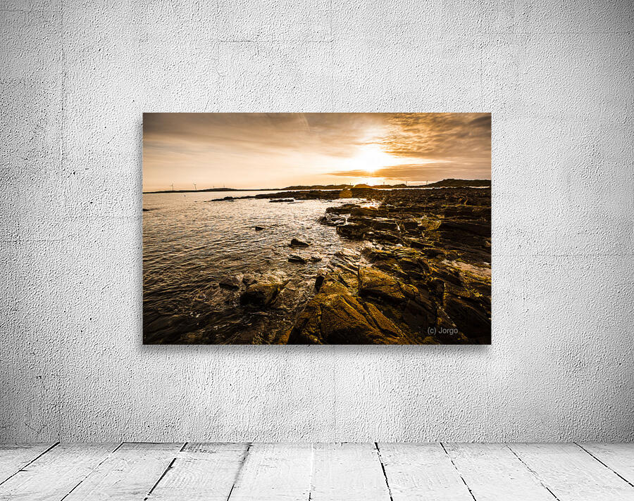 Petal point ocean sunrise Wall Preview