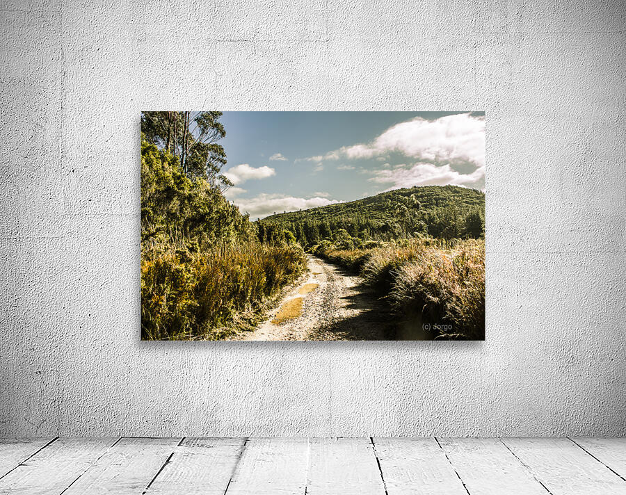 Rural paths out yonder Wall Preview