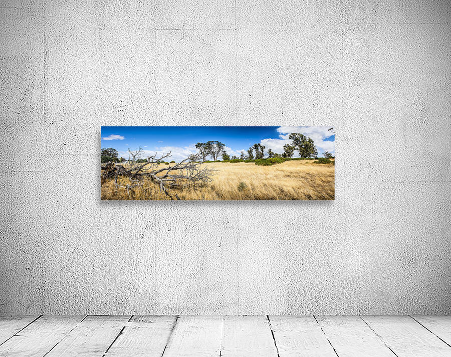 Australia summer landscape of rural Tasmania Wall Preview