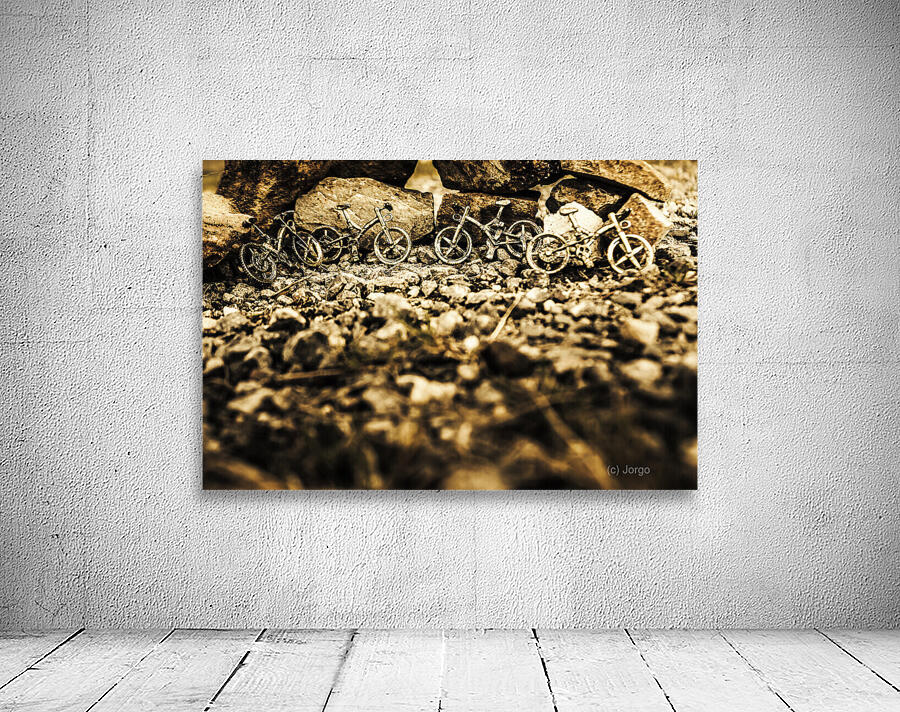 Rustic mountain bikes Wall Preview