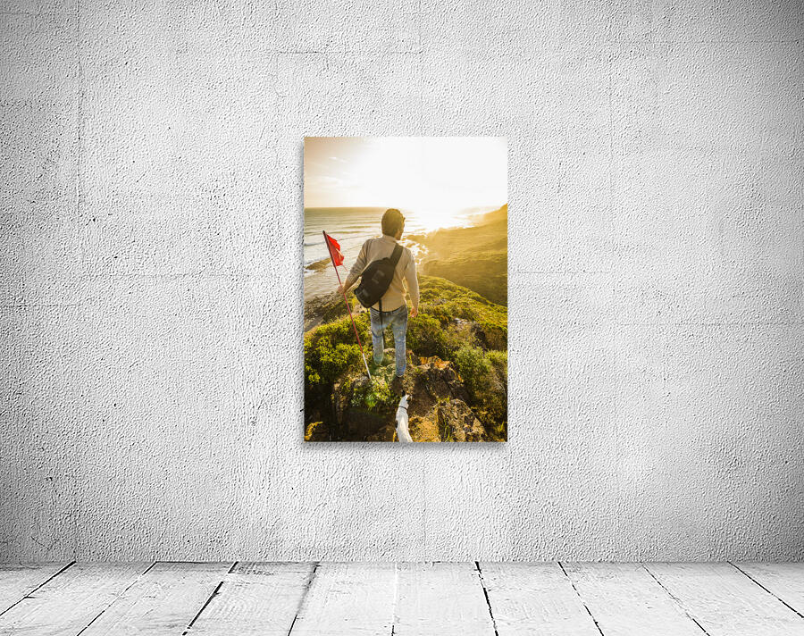 Spirit of Tasmania Wall Preview