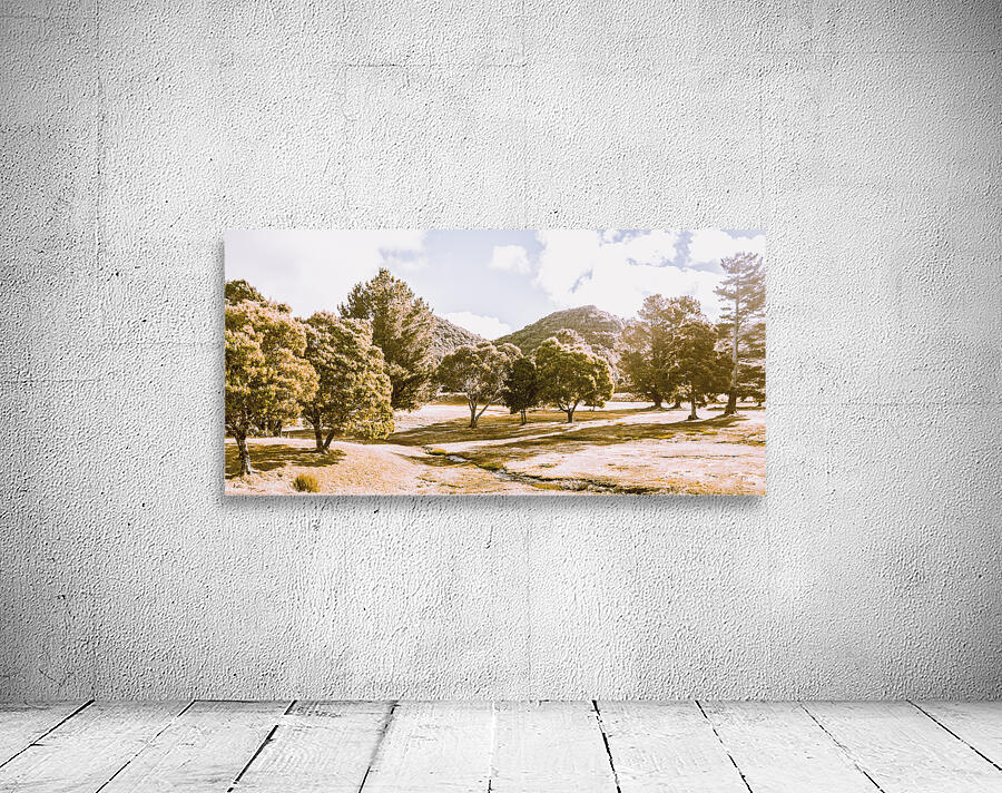 Ornate outbacks Wall Preview