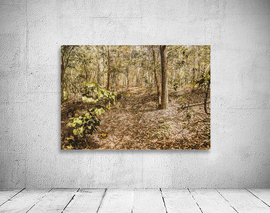 Autumn path obscured by fallen foliage Wall Preview