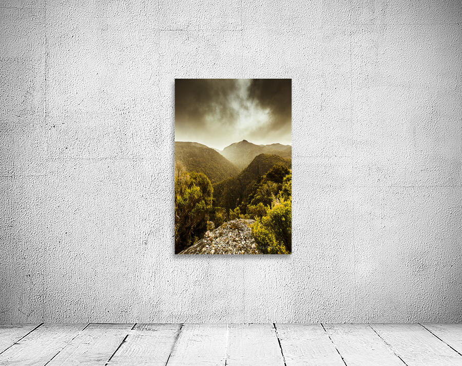 Foggy mountainous forest Wall Preview