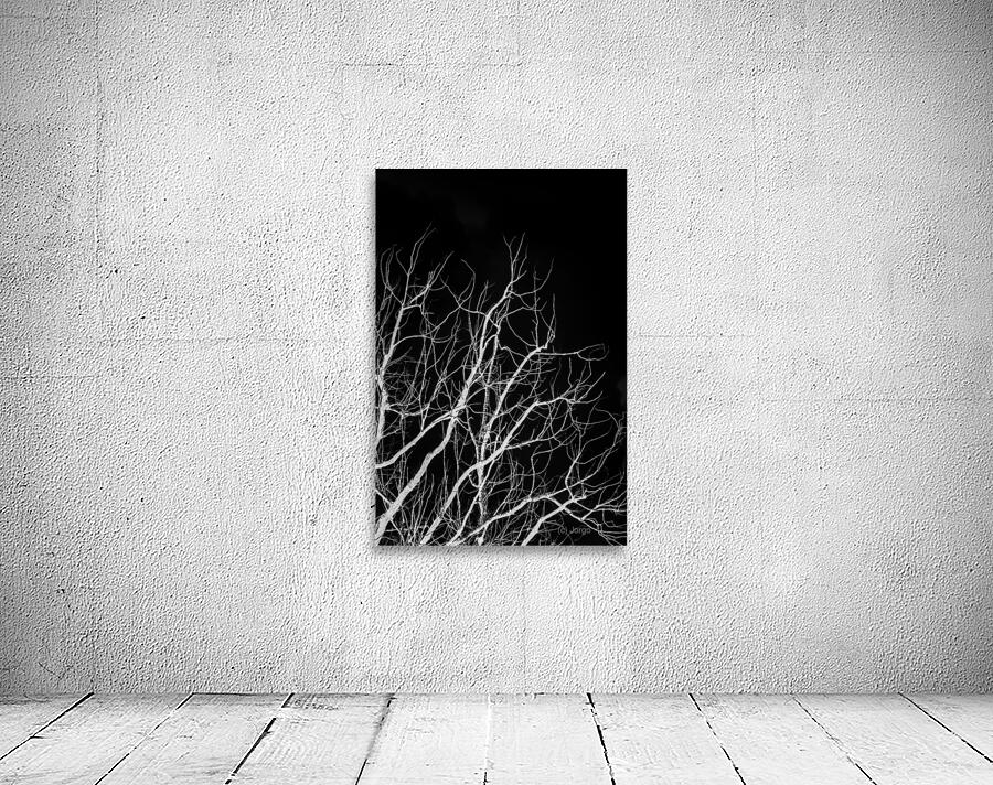 Winters bare Wall Preview