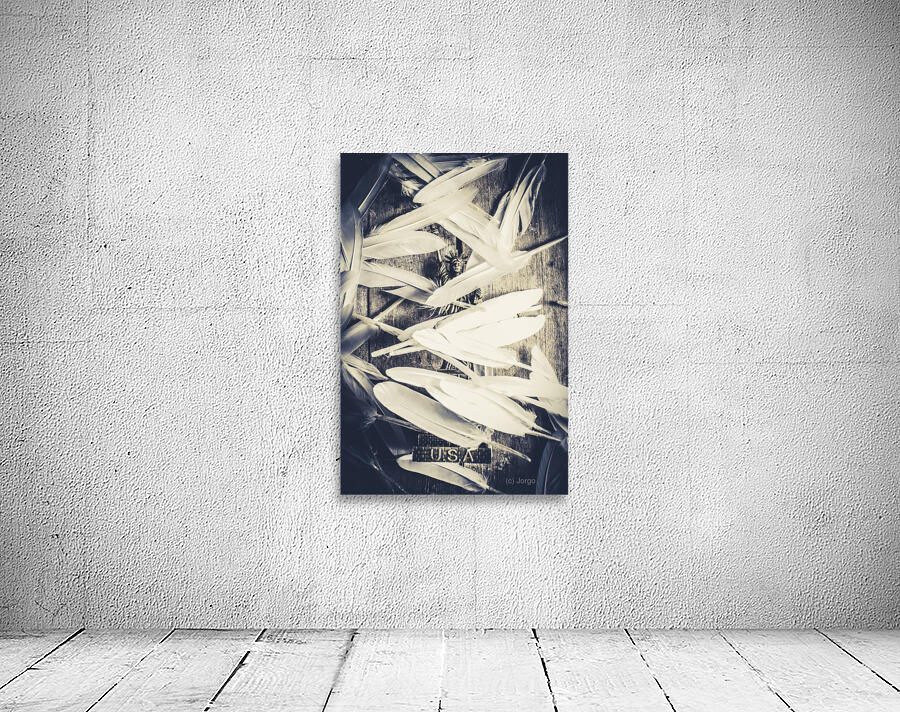 Feathers of freedom and the statue of liberty Wall Preview