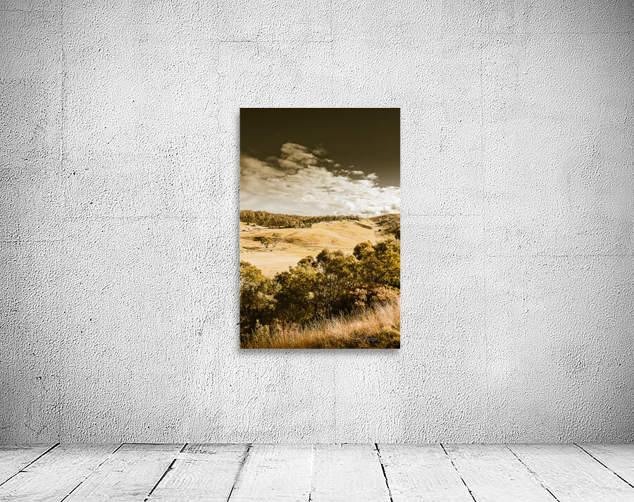 Old summer hills Wall Preview