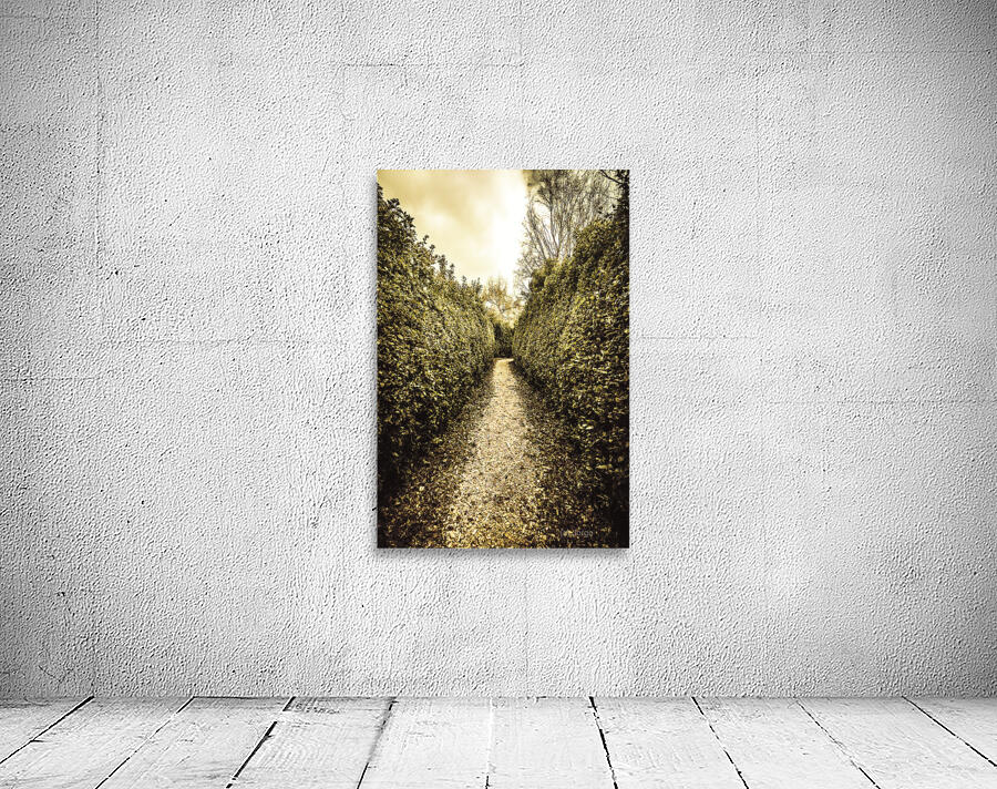 Up the garden path Wall Preview