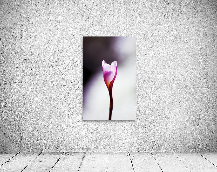 Beauty In Growth Wall Preview