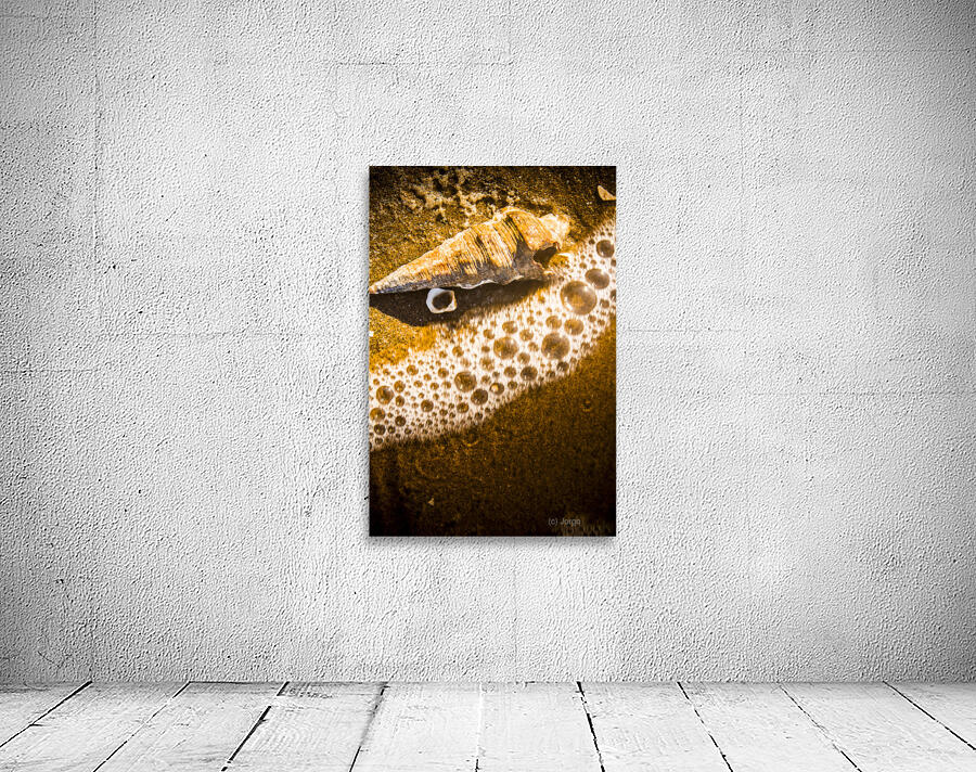 Sea shells and ocean ripples Wall Preview