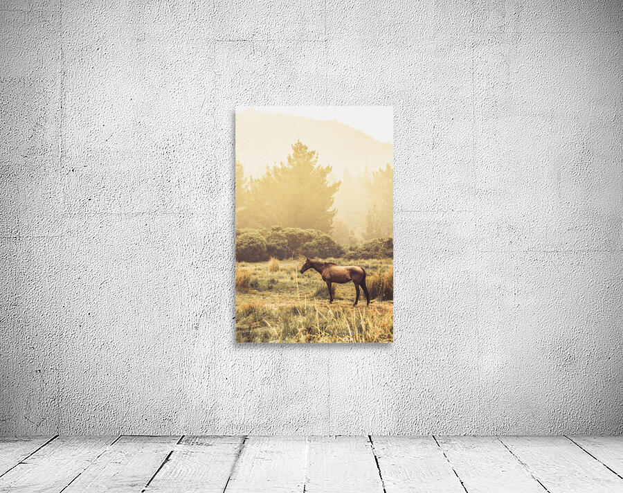 Western ranch horse Wall Preview