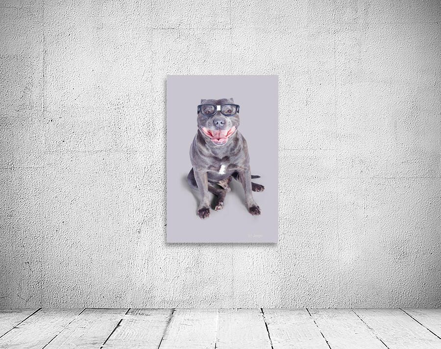 Dog wearing nerd glasses Wall Preview
