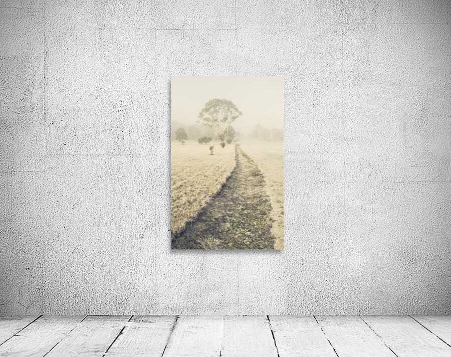 Trees in fog and mist Wall Preview