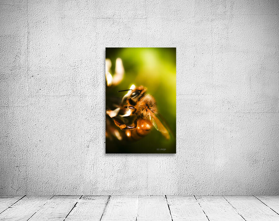 Process Of Pollination Wall Preview