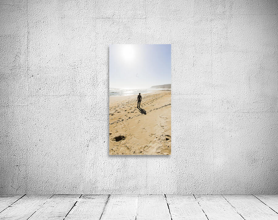 Ocean journey Wall Preview