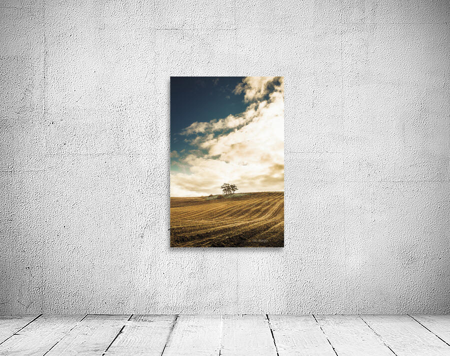 Cherry farm in the sowing Wall Preview