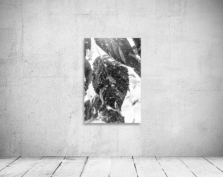 Leaves and light Wall Preview