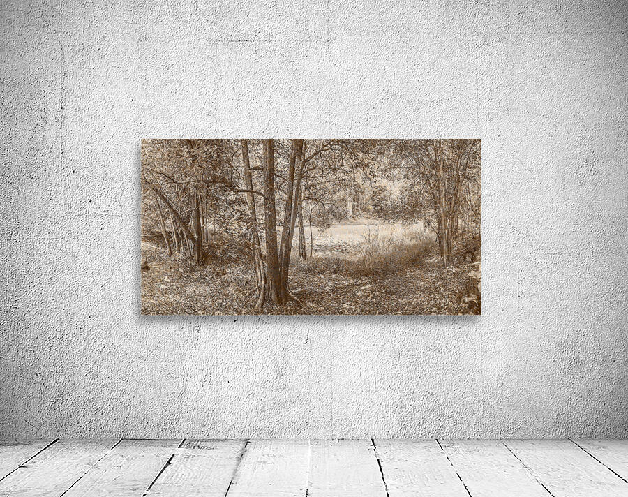 Vintage Deception Bay woodland Wall Preview