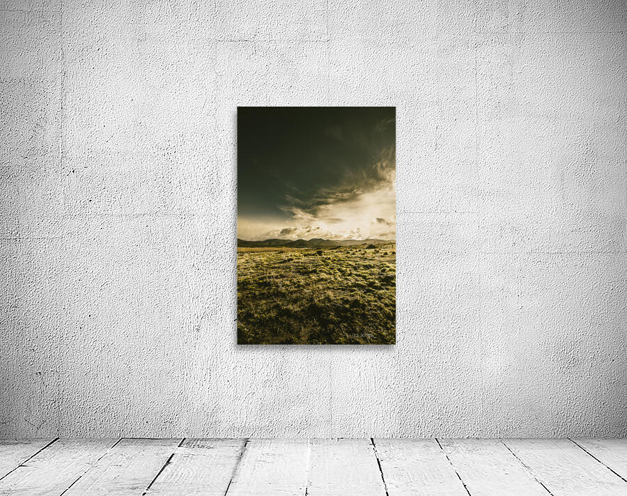 Mountain grassland Wall Preview