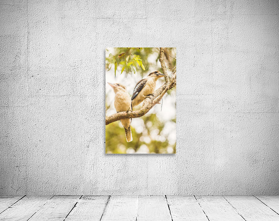 Branched Outback Wall Preview