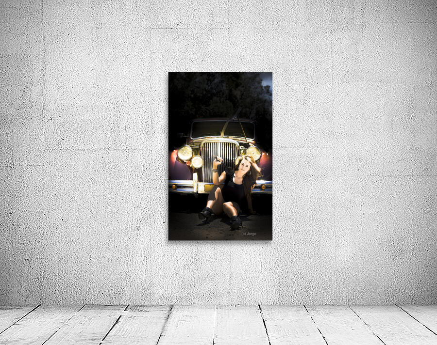 Female Auto Mechanic Wall Preview