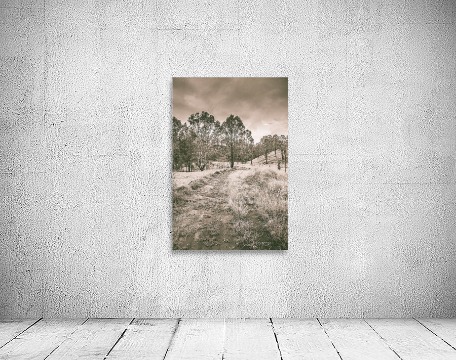 Through fields aplenty Wall Preview