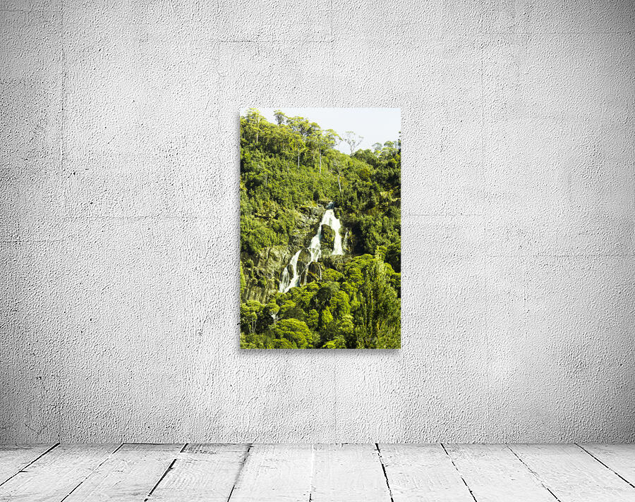 Rainforest rapids Wall Preview