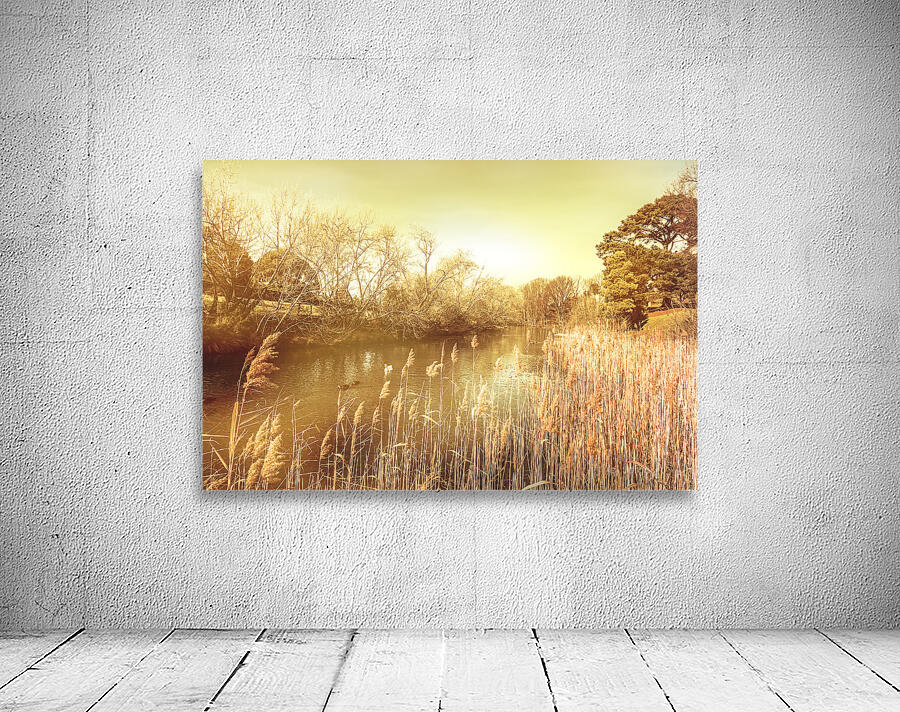 Coal River Richmond Wall Preview