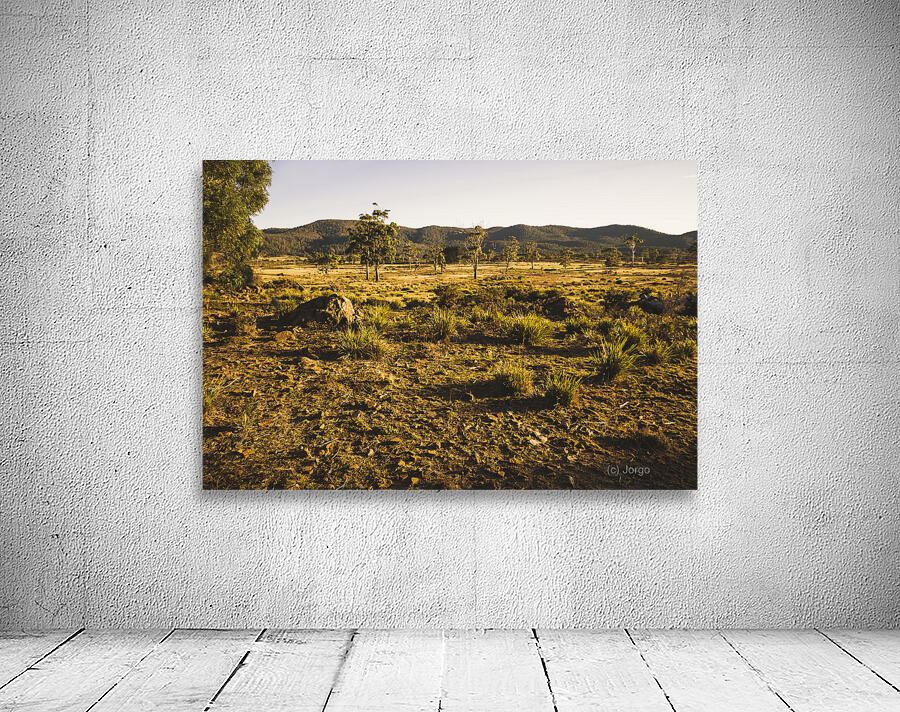 Idyllic rural Australia farmland  Wall Preview
