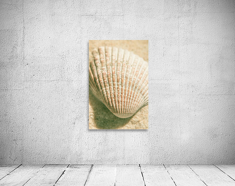 Macro marine minimalism Wall Preview