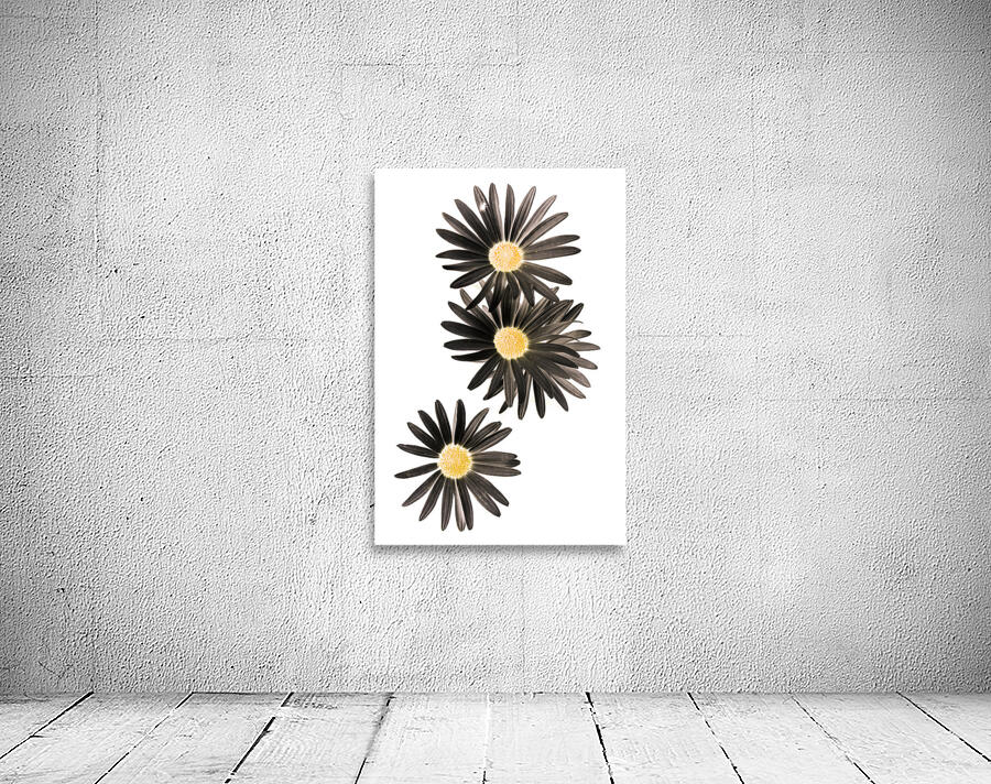 Seisiad Wall Preview