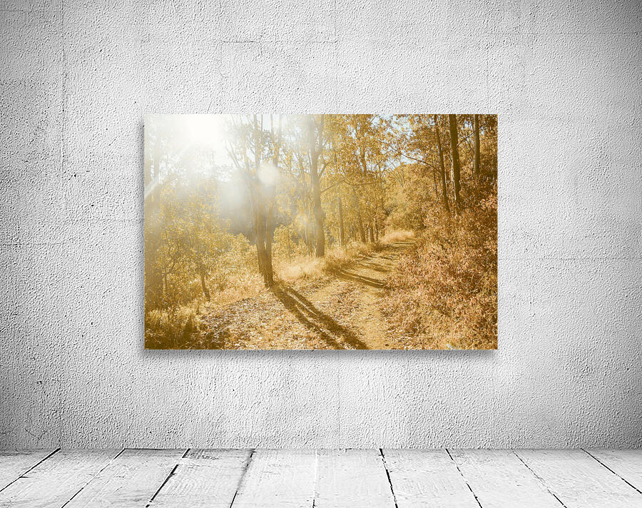 Autumns Adventure Wall Preview