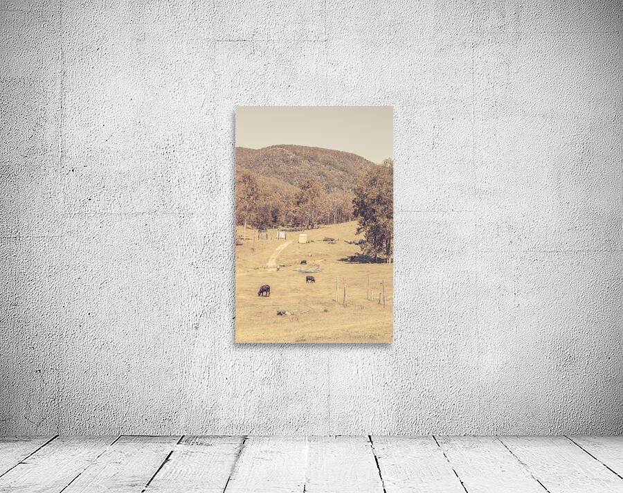 Old prairie Wall Preview