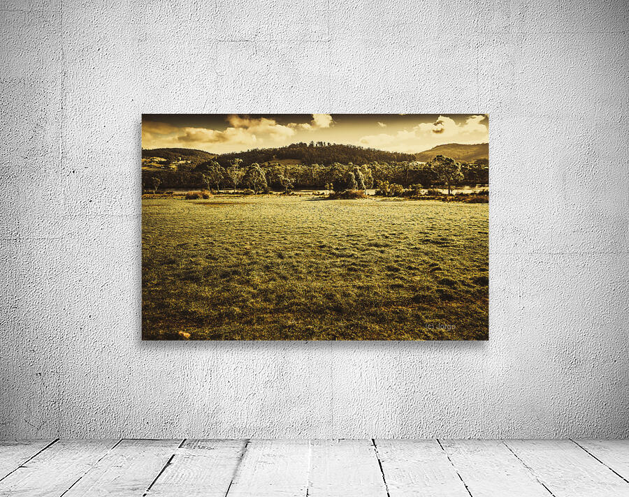 Open fields of Woodstock Tasmania Wall Preview