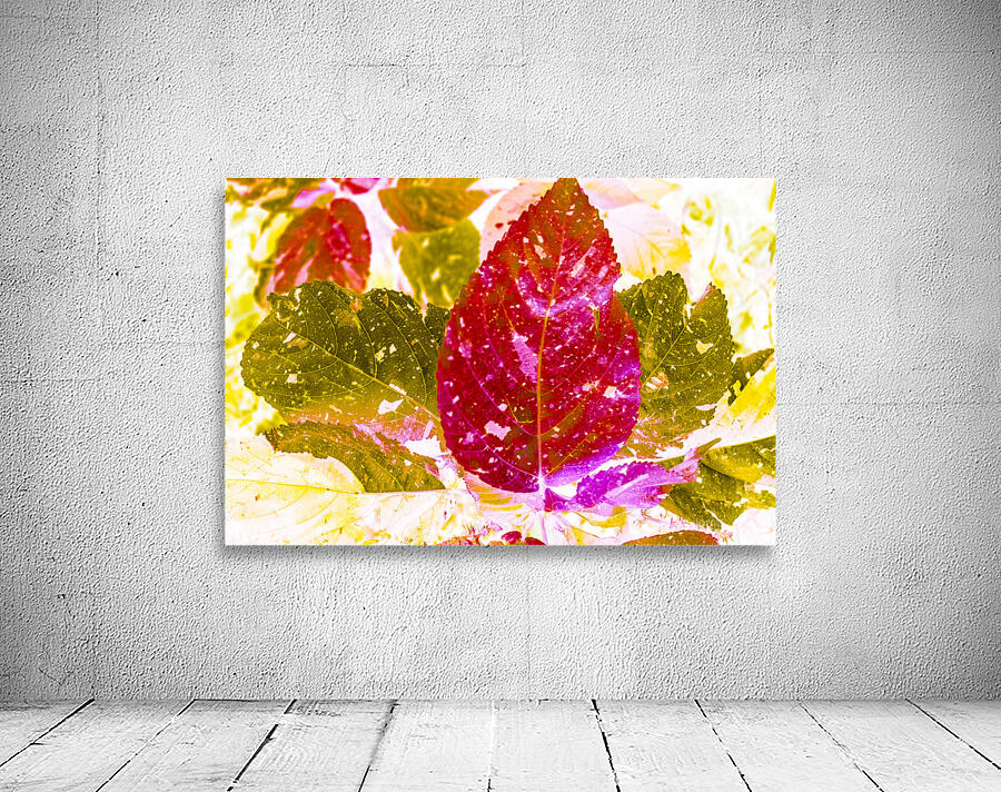 Forest of leafy hues Wall Preview