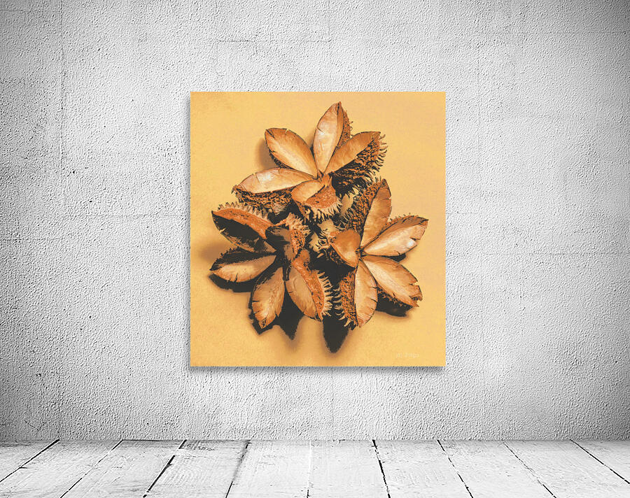 Setting seeds Wall Preview