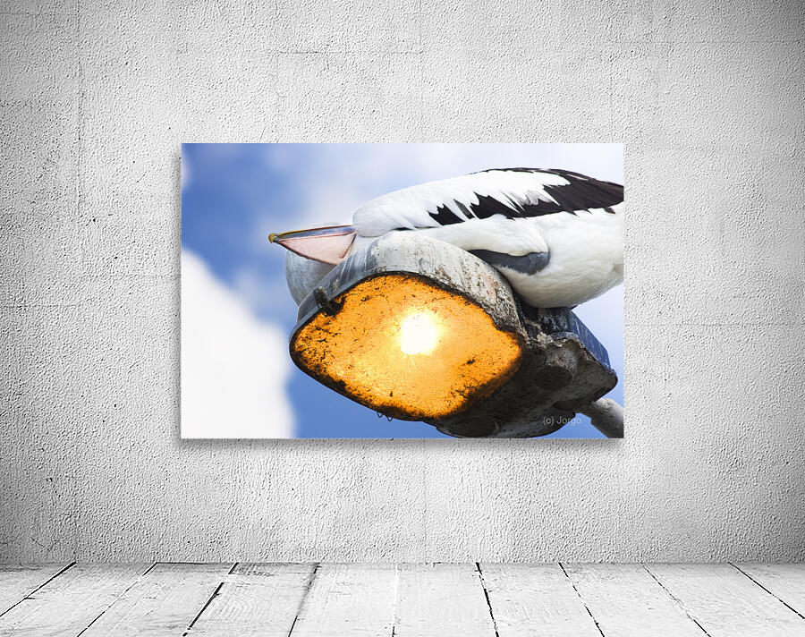 Summer Siesta Wall Preview