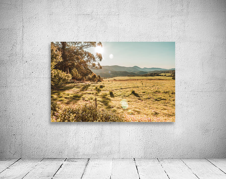 Meadows and mountains Wall Preview