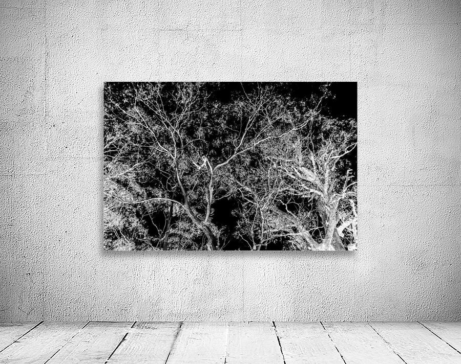 Of a elaborate design Wall Preview