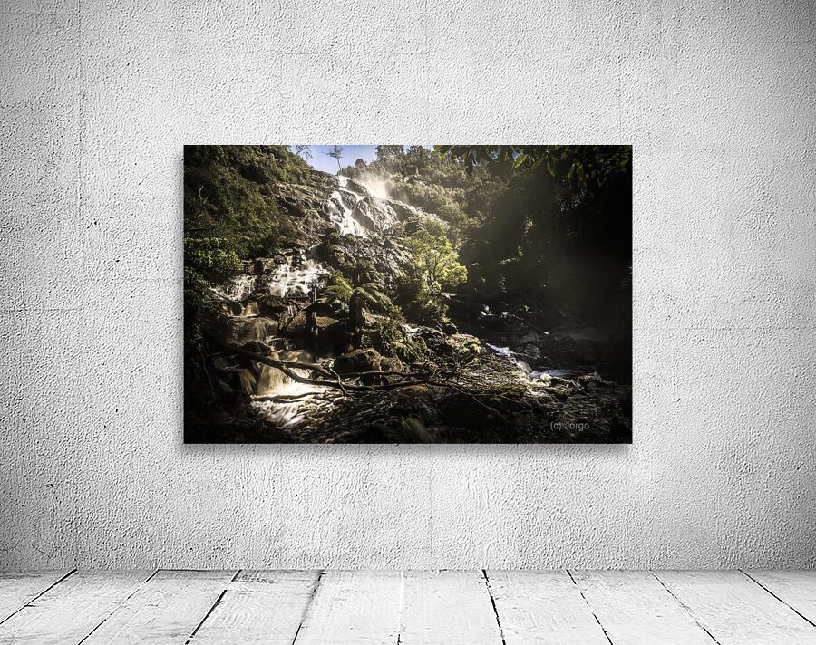 Tasmania wild Wall Preview