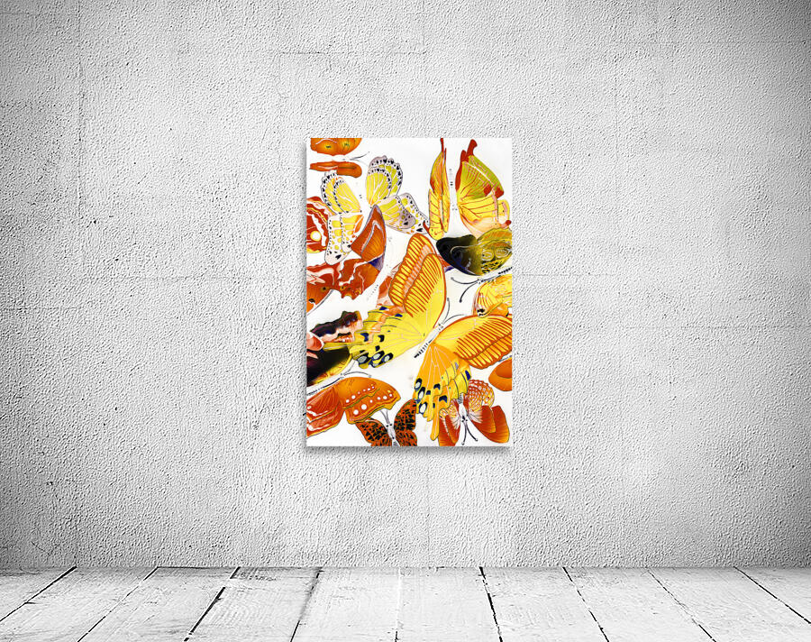 Summers design Wall Preview