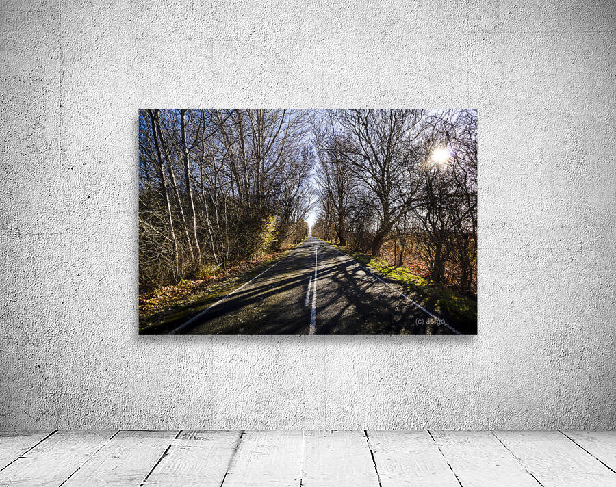 Beautiful roads in winters shadow Wall Preview