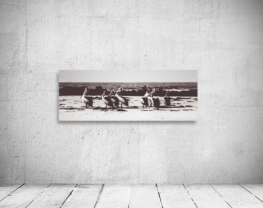 Pelican panorama Wall Preview